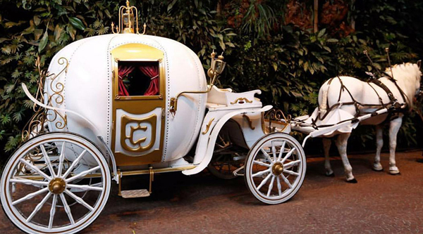carruagem casamento disney